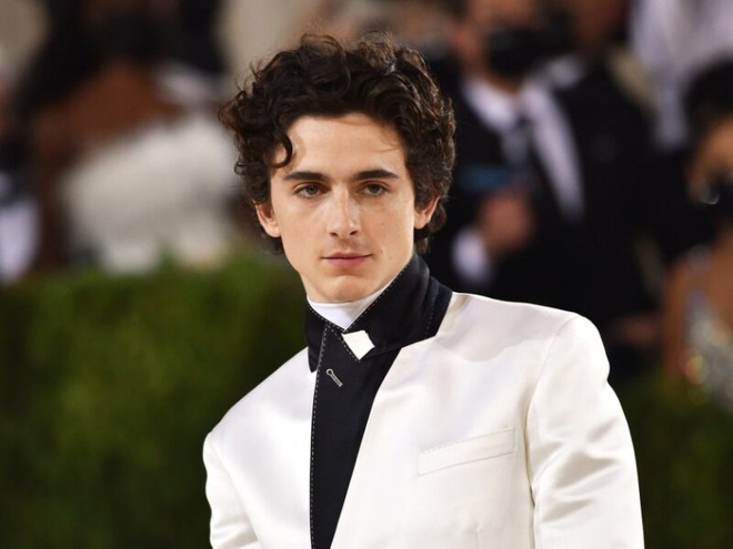 timothee-chalamet-the-new-model-of-the-hollywood-gentleman